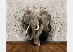 Fototapet, Un elefant ce sparge un perete