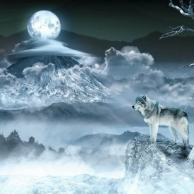 Fototapet, Un lup și luna plină