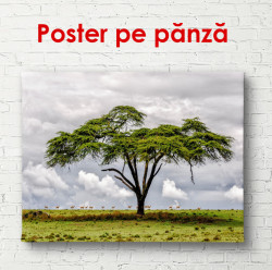 Poster, Arborele verde