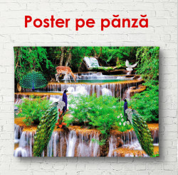 Poster, Cascada și animale de pădure