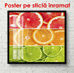 Poster, Citrice colorate