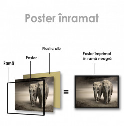 Poster, Doi elefanți