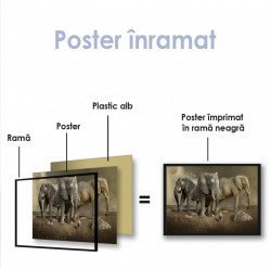 Poster, Elefanți uriași