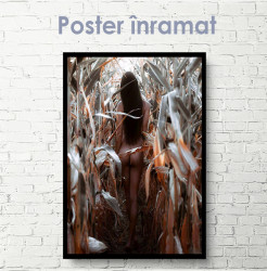 Poster, Fată în lanul de porumb