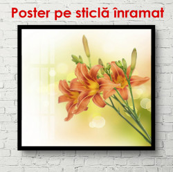 Poster, Flori portocalii pe un fundal delicat