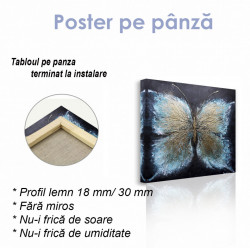 Poster, Fluture albastru