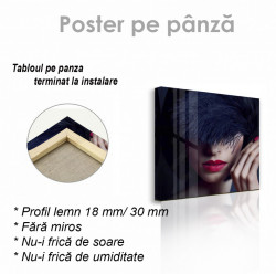 Poster, FluturePoster, Lady