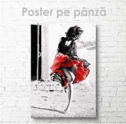 Poster, Fusta rosie