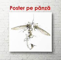 Poster, Insectă abstractă pe un fundal alb