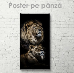 Poster, Leu