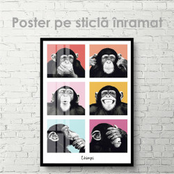 Poster, Maimuțe drăguțe