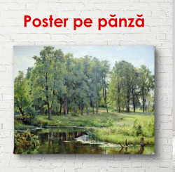 Poster, Parcul cu copaci verzi