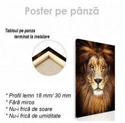 Poster, Regele Leu