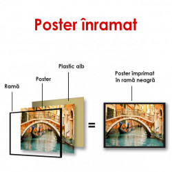Poster, Veneția