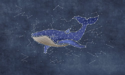 Tapet foto pentru copii, Balenă albastră și constelațille
