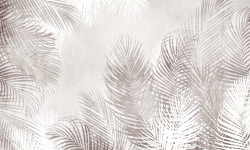 Fototapet, Frunze delicate de palmier