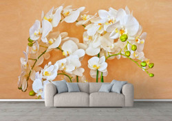 Fototapet, Orhidee albe pe un fundal bej