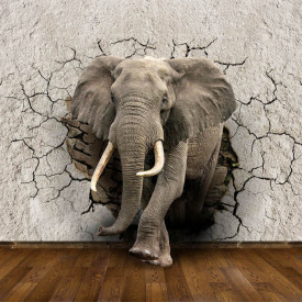 Fototapet, Un elefant ce sparge un perete