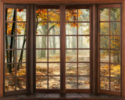 Fototapet, Vedere de la fereastră către pădurea de toamnă