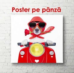 Poster, Câine care conduce un moped