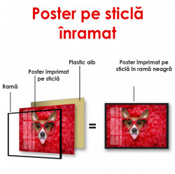 Poster, Câine cu ochelari roșii