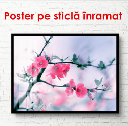 Poster, Crenguța cu flori roz pe un fond albastru