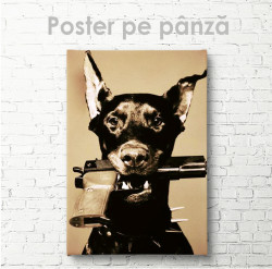 Poster, Doberman cu pistol