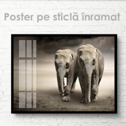 Poster, Doi elefanți