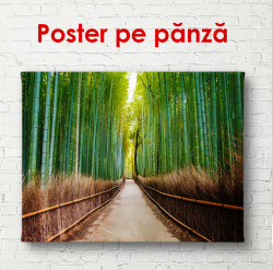 Poster, Drumul de bambus