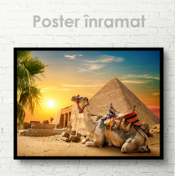 Poster, Egipt - Piramida - Cămilă și apus