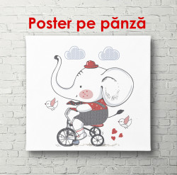 Poster, Elefantul pe bicicletă