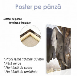 Poster, Elefantul trist