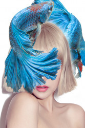 Poster, Fata cu pește albastru pe cap.