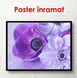 Poster, Flori de primăvară violet