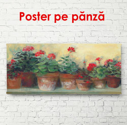Poster, Ghivece cu flori roșii pe pervaz