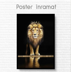 Poster, Leu cu coroană de aur