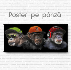 Poster, Maimuțe Glamour