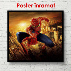 Poster, Omul de păianjen la apusul soarelui