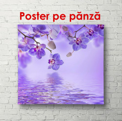 Poster, Orhidee violet cu fluturi pe un fundal violet