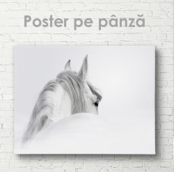 Poster, Poster minimalist cu cal alb