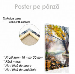 Poster, Râul din pădure