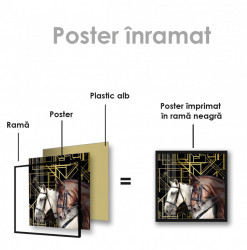 Poster, RinocerPoster, Doi cai