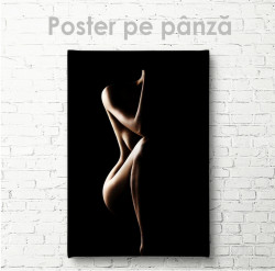 Poster, Silueta unei fete pe un fundal negru
