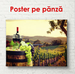 Poster, Sticlă de vin pe fundalul unei podgorii verzi la apusul soarelui