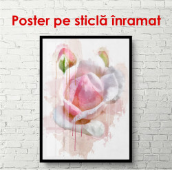 Poster, Trandafir delicat roz