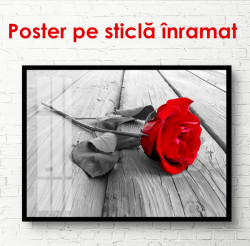 Poster, Trandafirul roșu