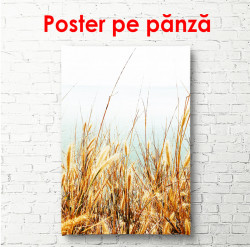 Poster, Un câmp de porumb lângă mare