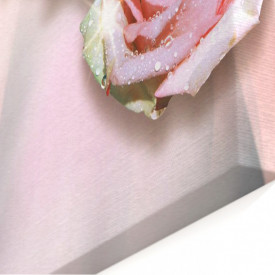 Tablou modular, Trandafirul roz delicat