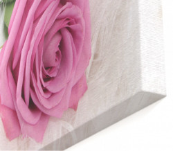 Tablou modular, Trandafirul roz pe un fundal alb.