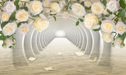 Fototapet 3D, Tunel 3D și trandafiri crem